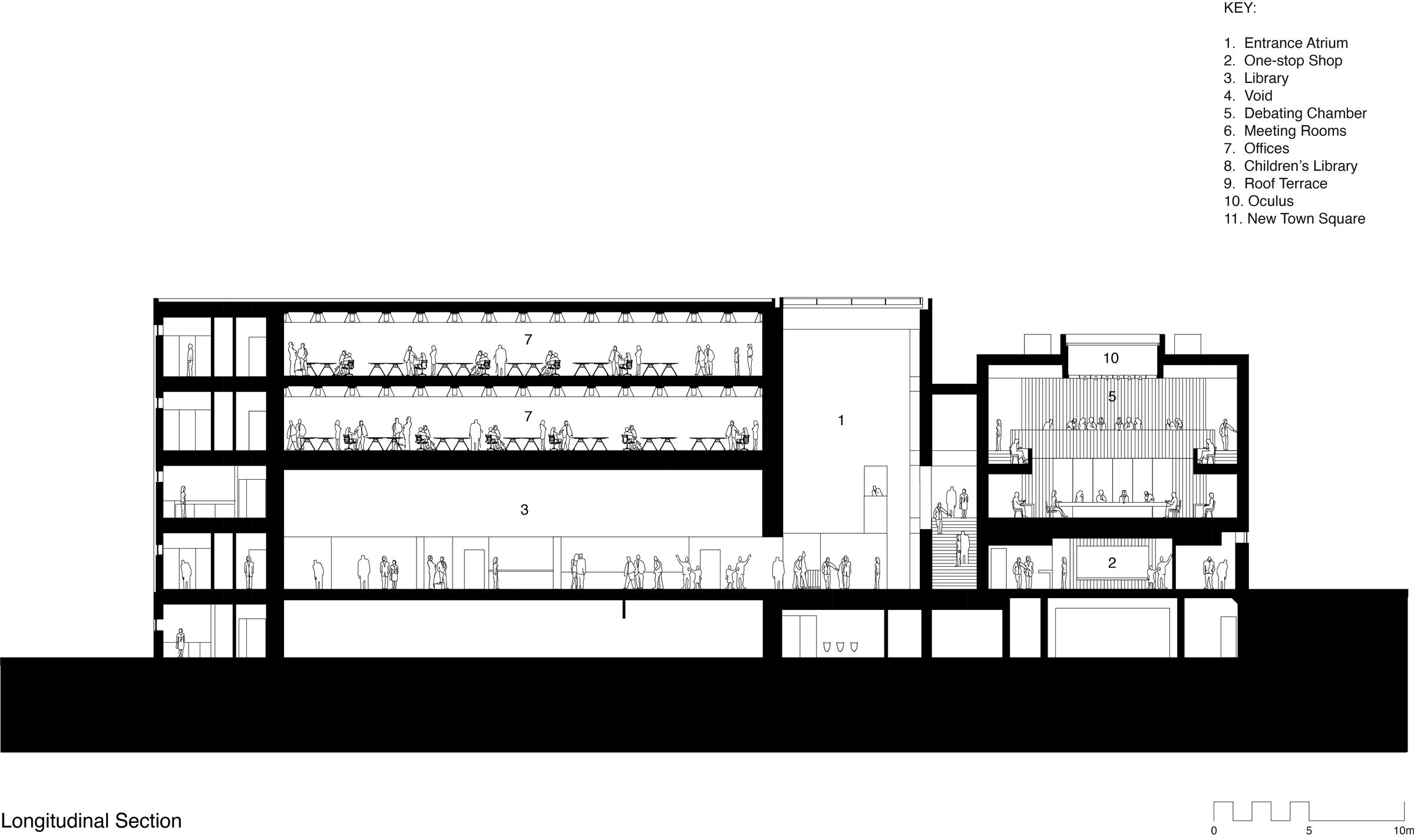 Section Longitudinal