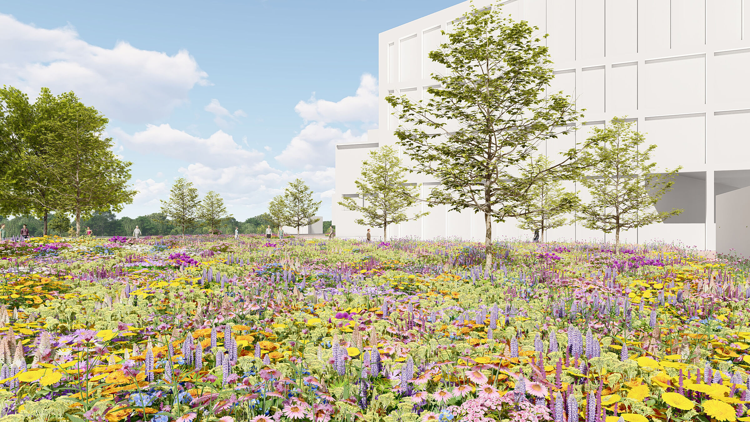 An illustration of the anticipated peak bloom at the start of the project.