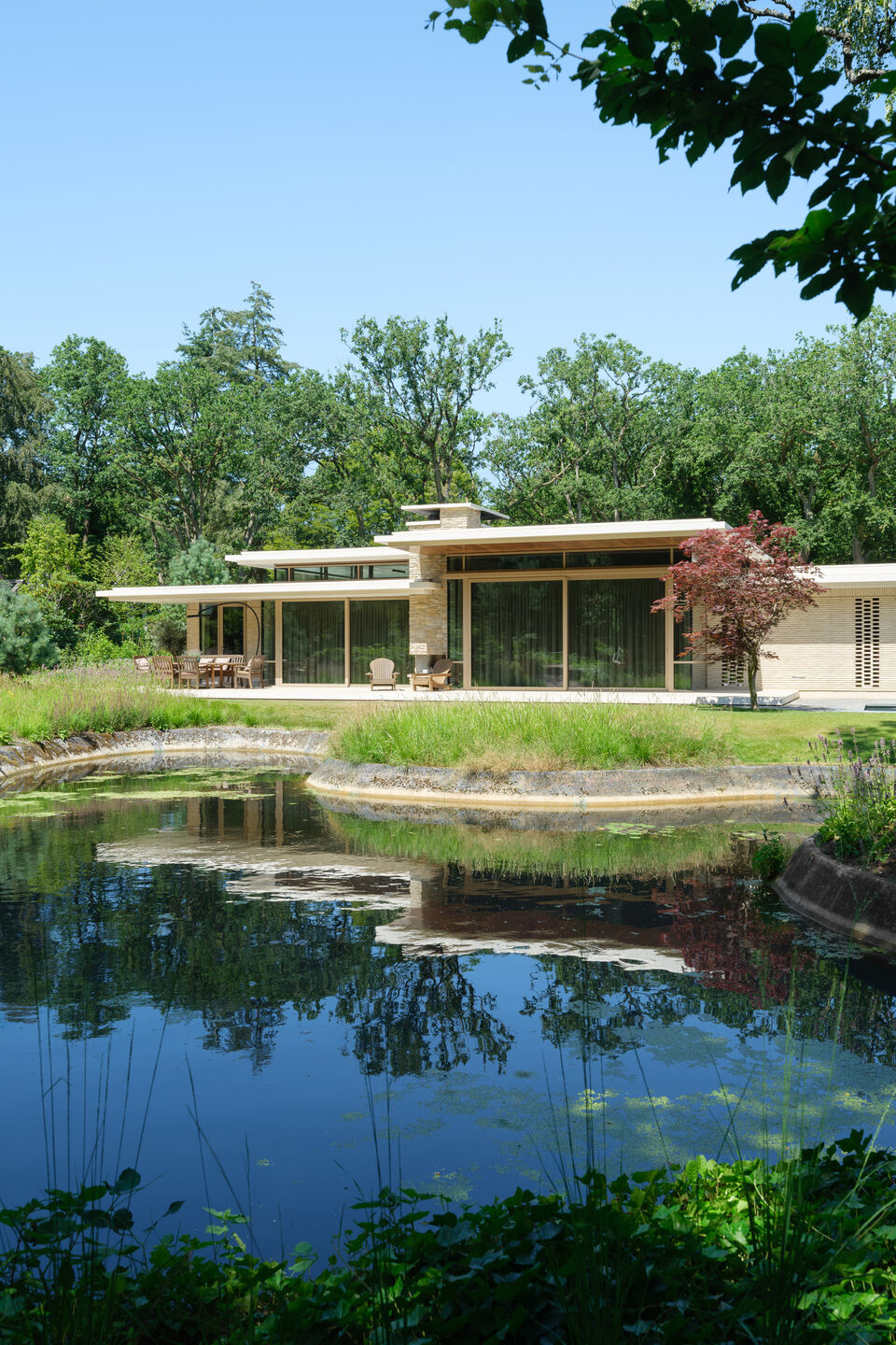 Pond reflection