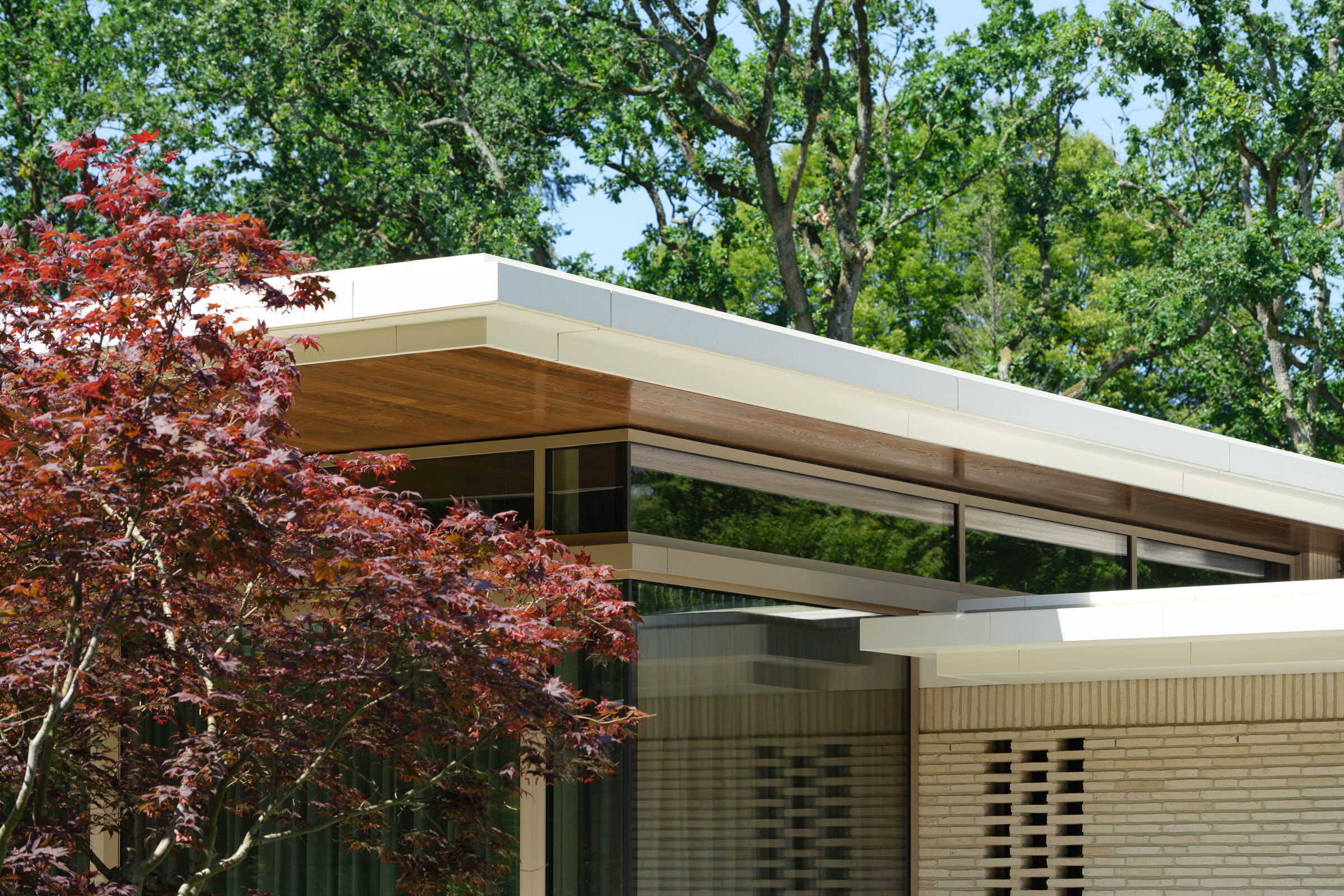 Glass underneath canopy