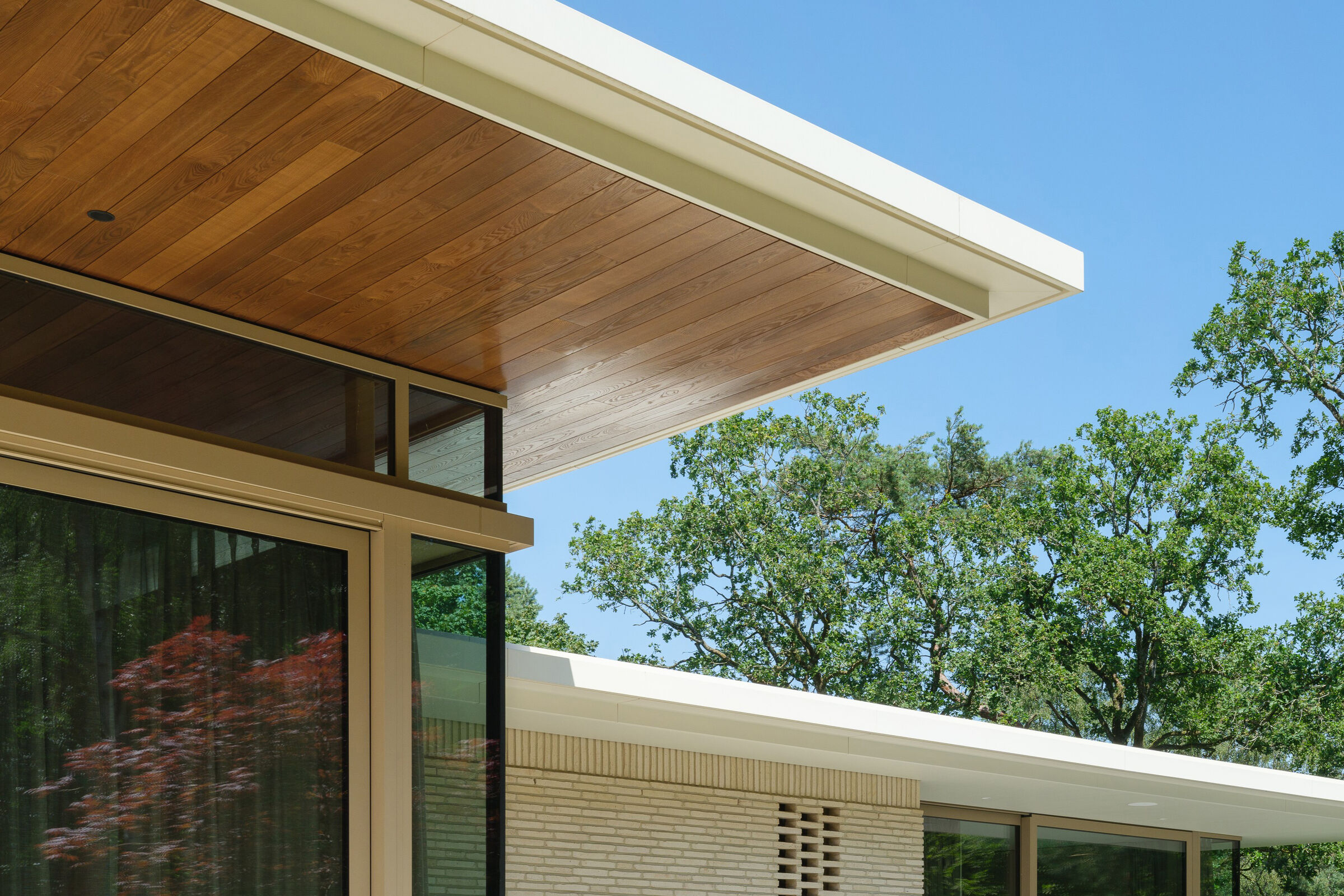 Close-up canopy