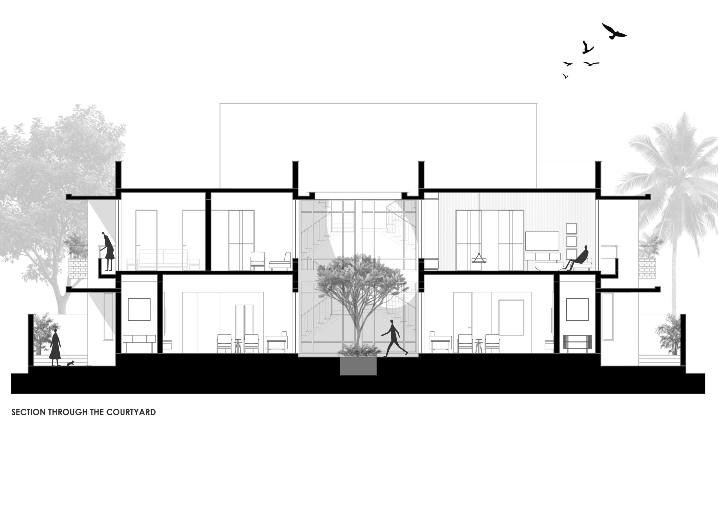 SECTION