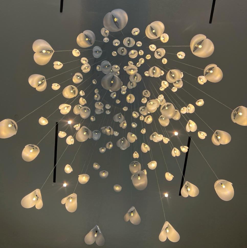 Viewed from below, the Bivalvia chandelier reveals its shell-inspired glass forms cascading through the grand entrance.
