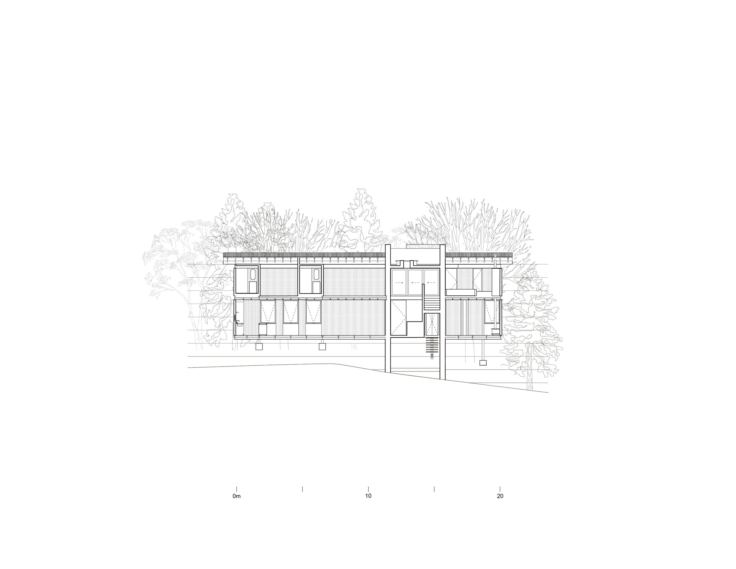 A section through the house reveals its spatial organization and layout, highlighting the main materials and architectural program.