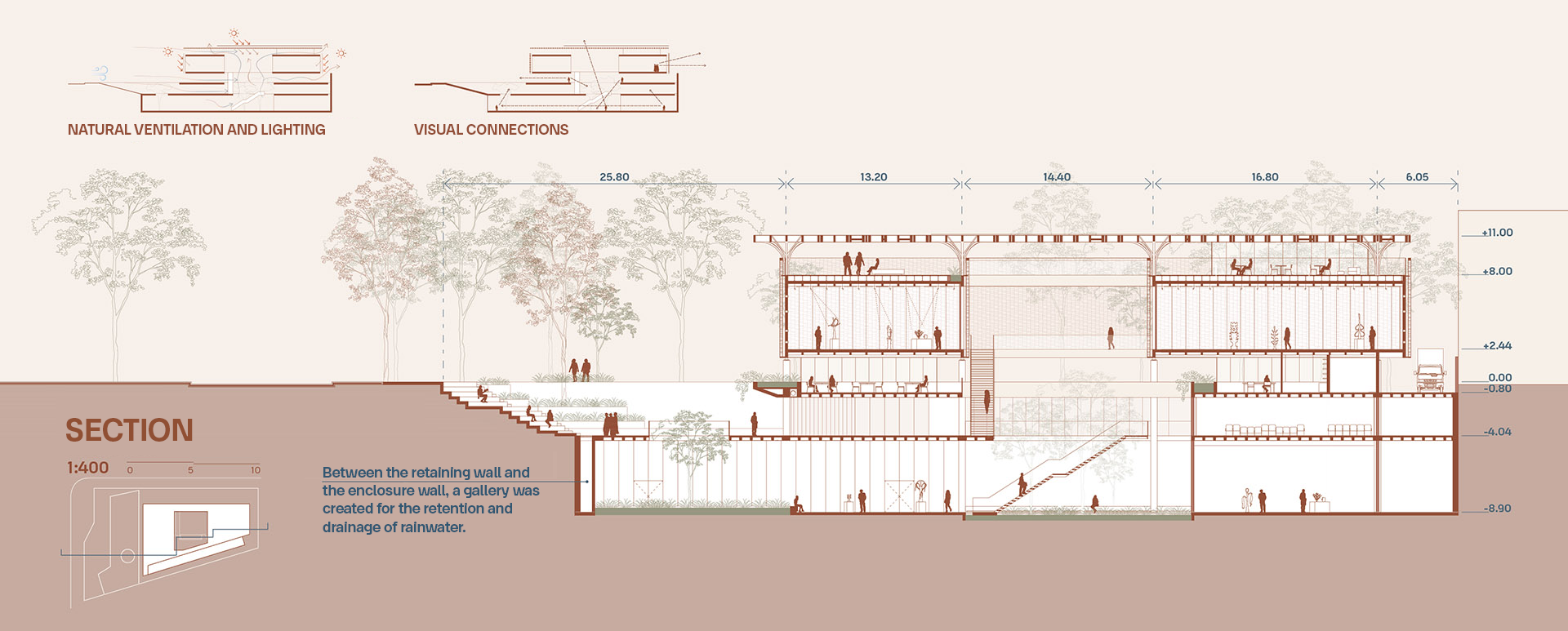 Section | longitudinal