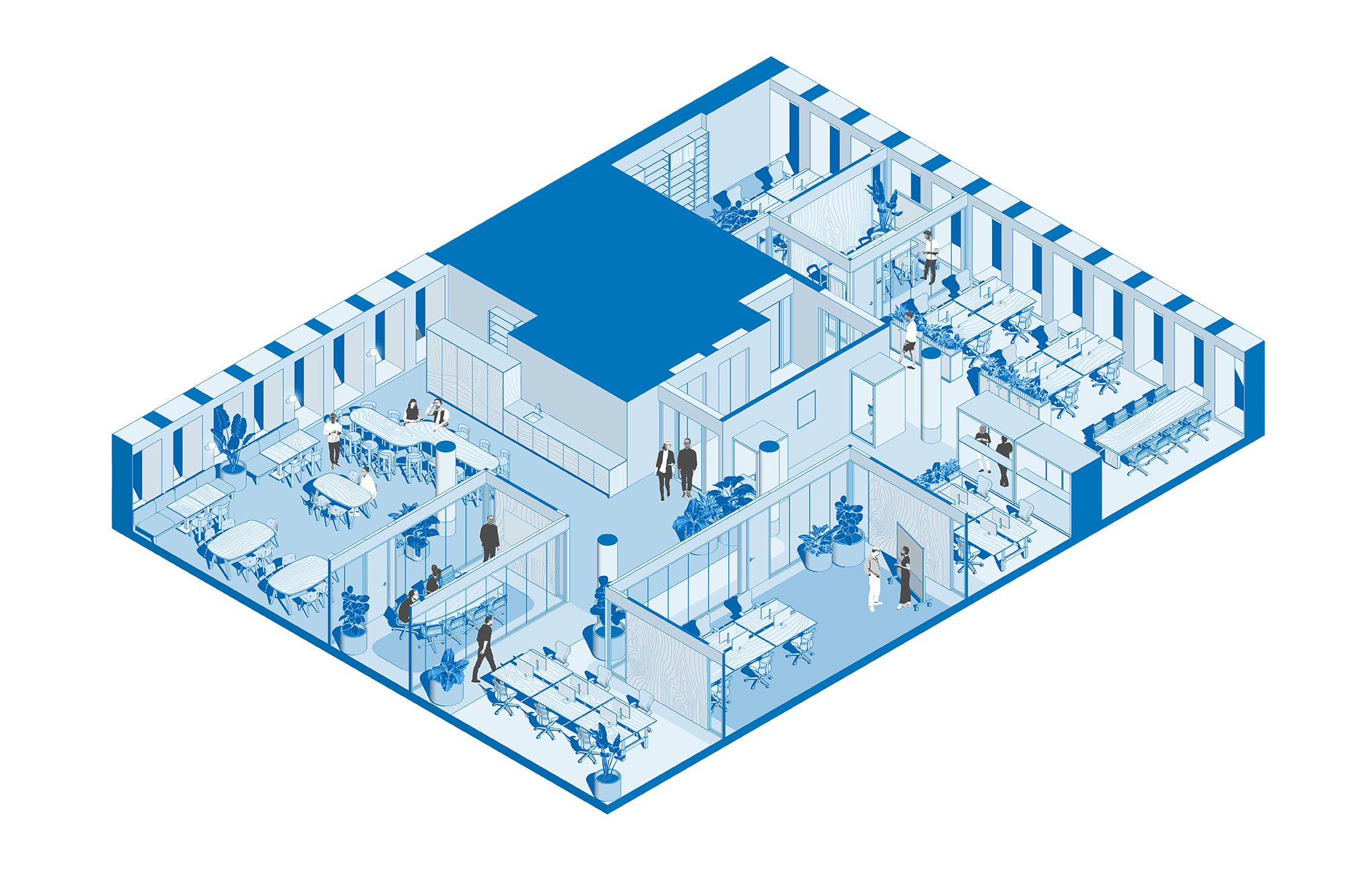 Layout of the Salacia Solutions office
