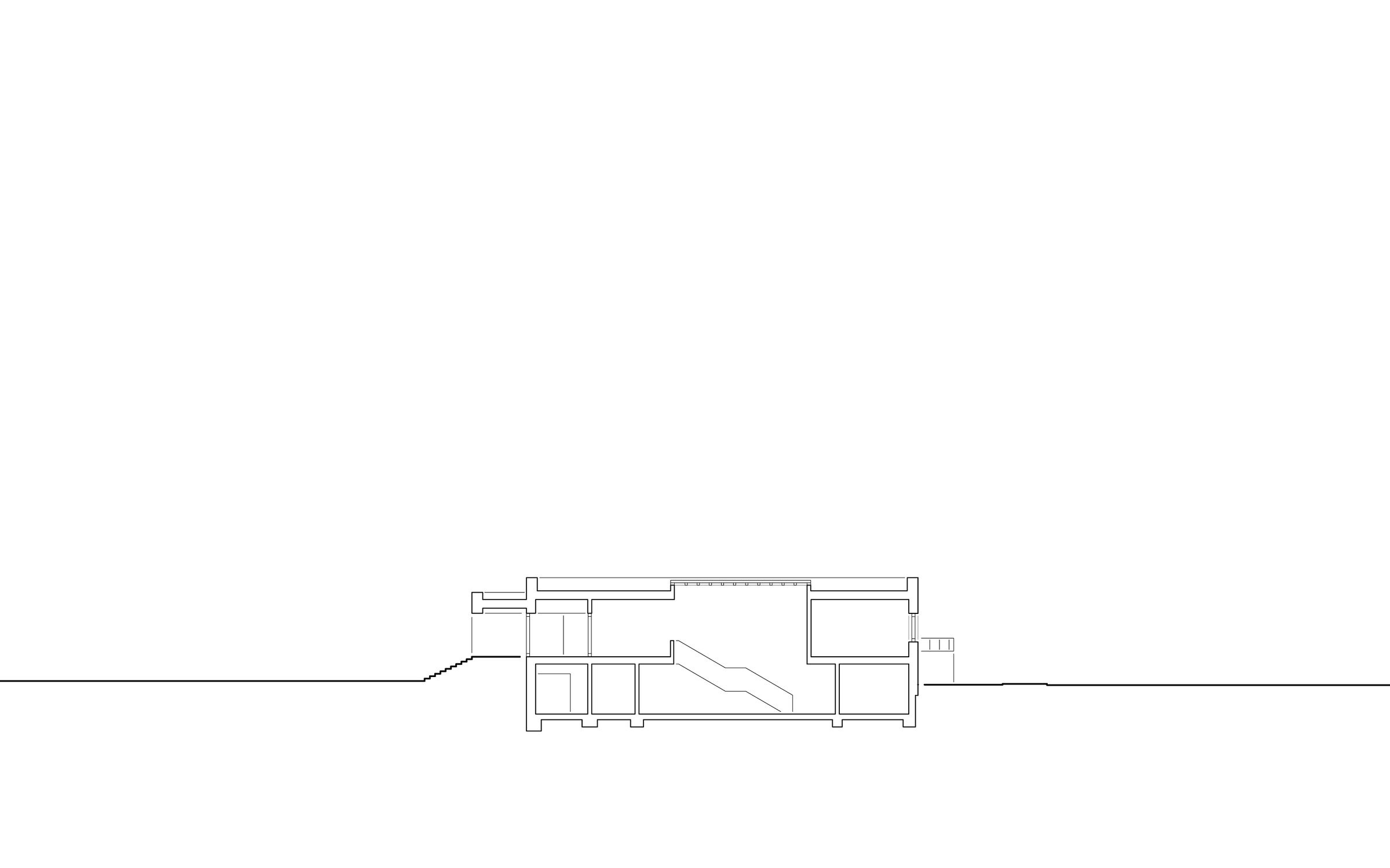 section