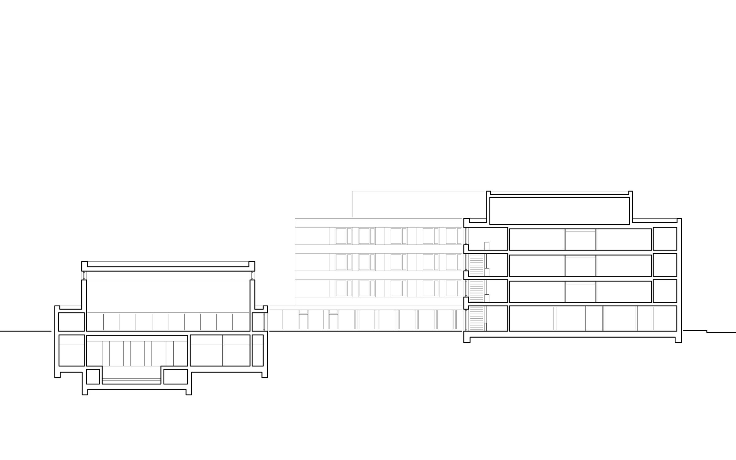 section