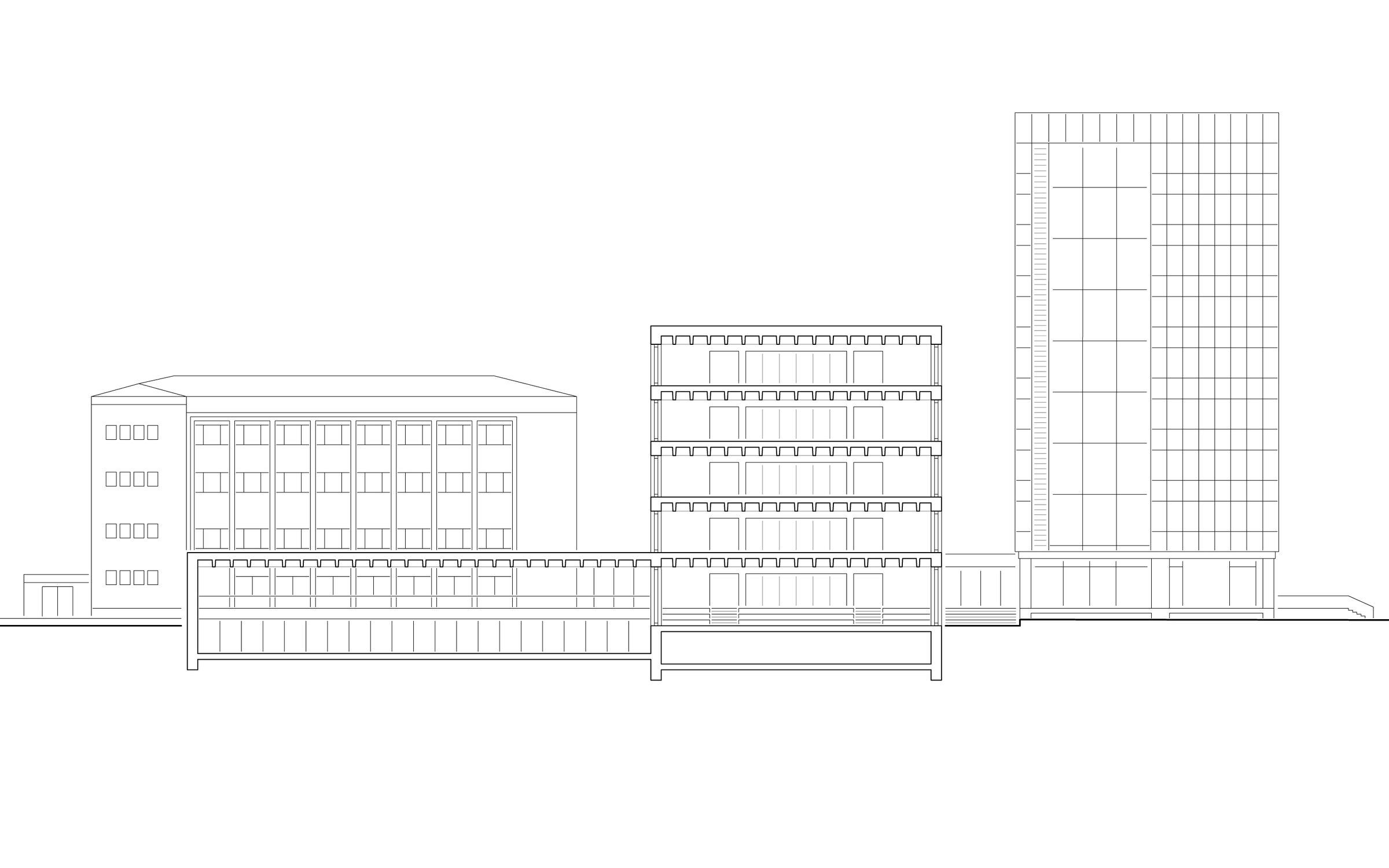 section