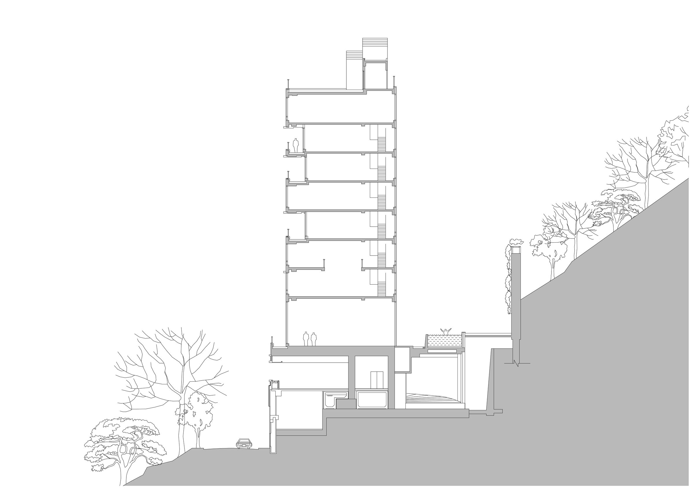 Section
