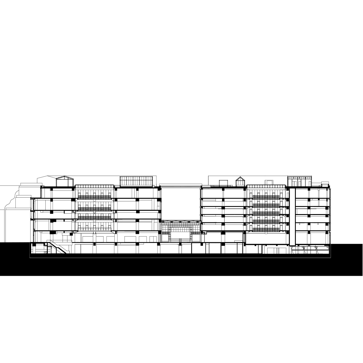 Longitudinal Section