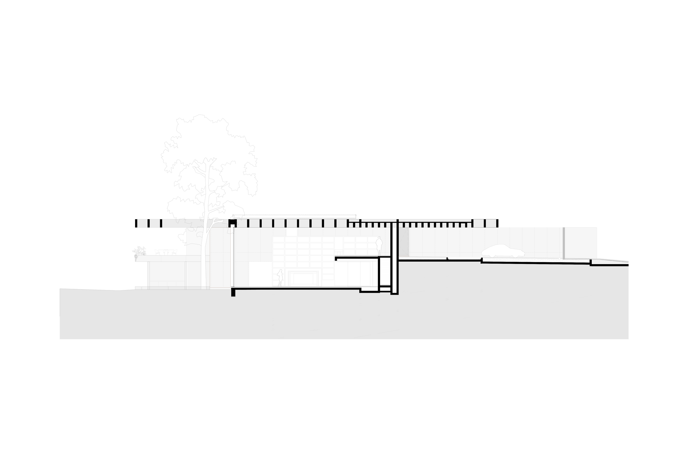 Section
