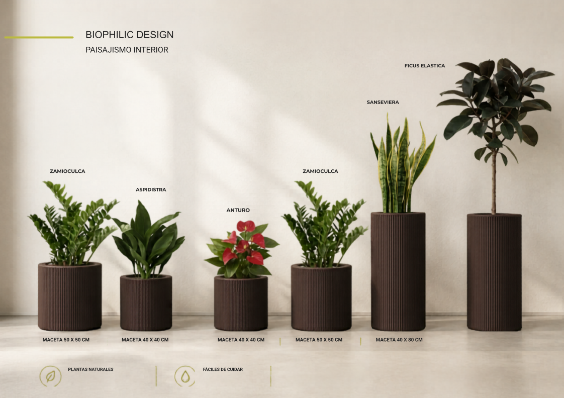 PLANTS PROPOSAL