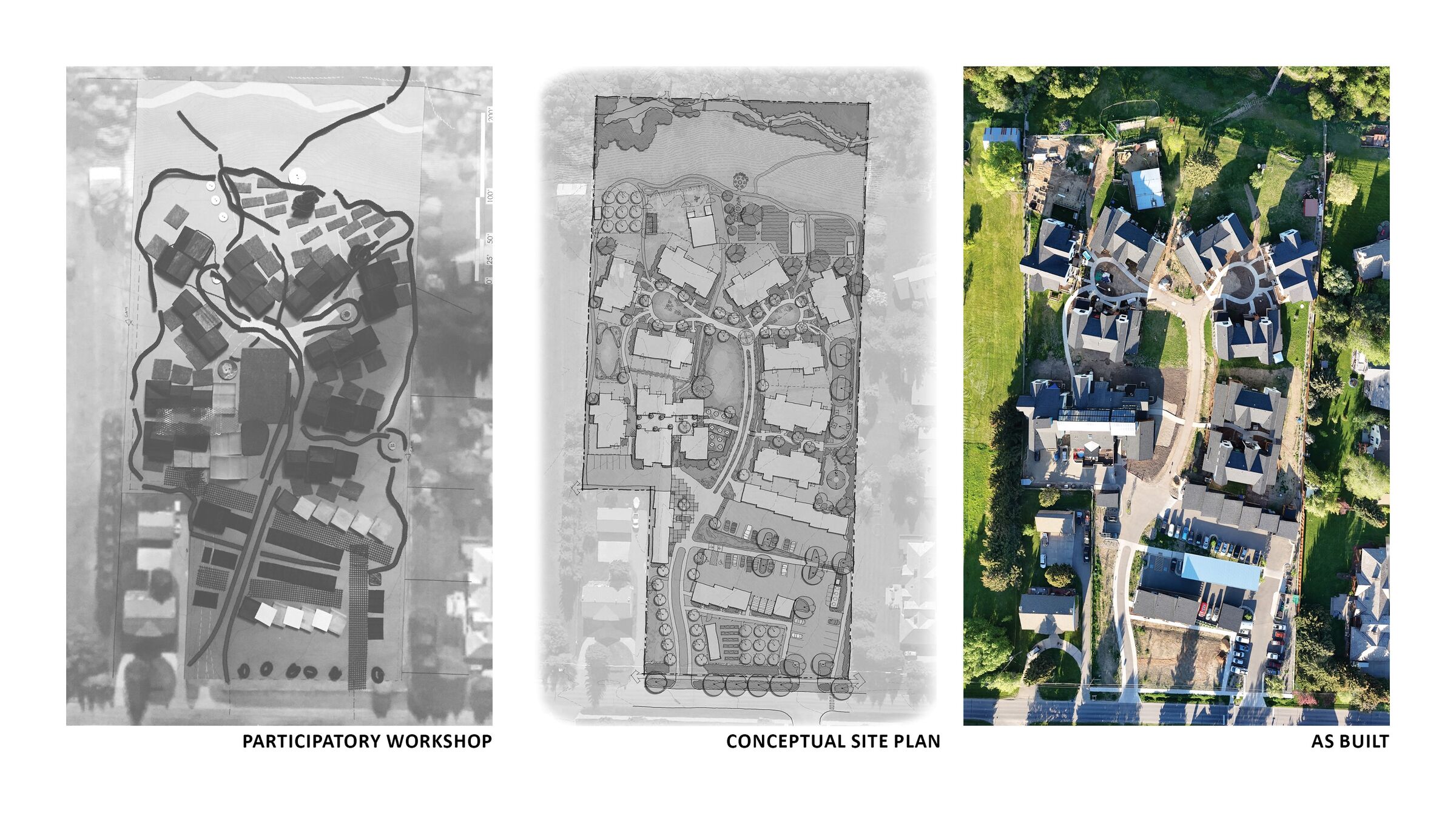 Participatory Design Evolution