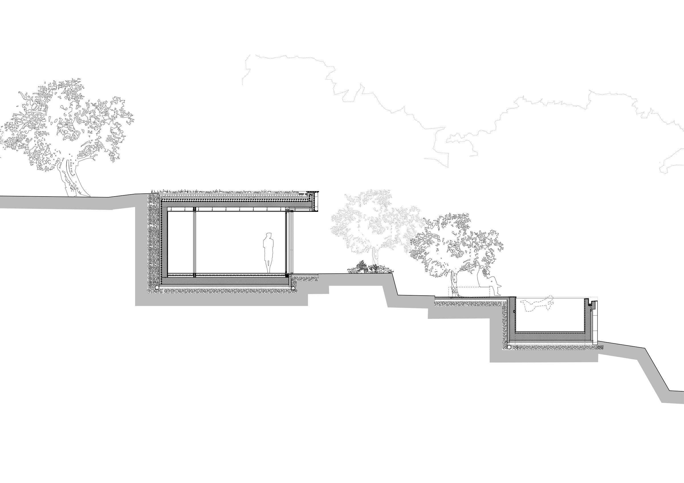 Section