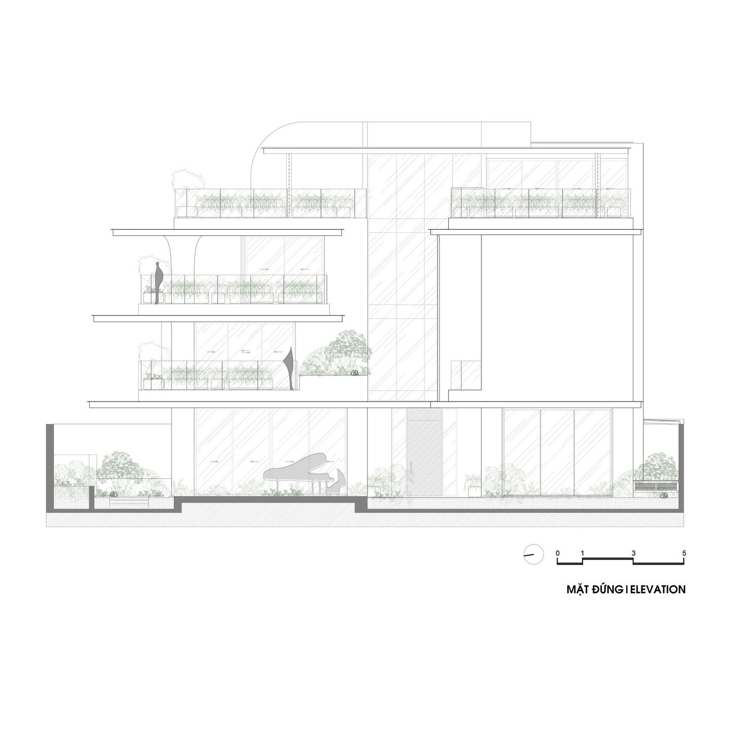 Elevation
