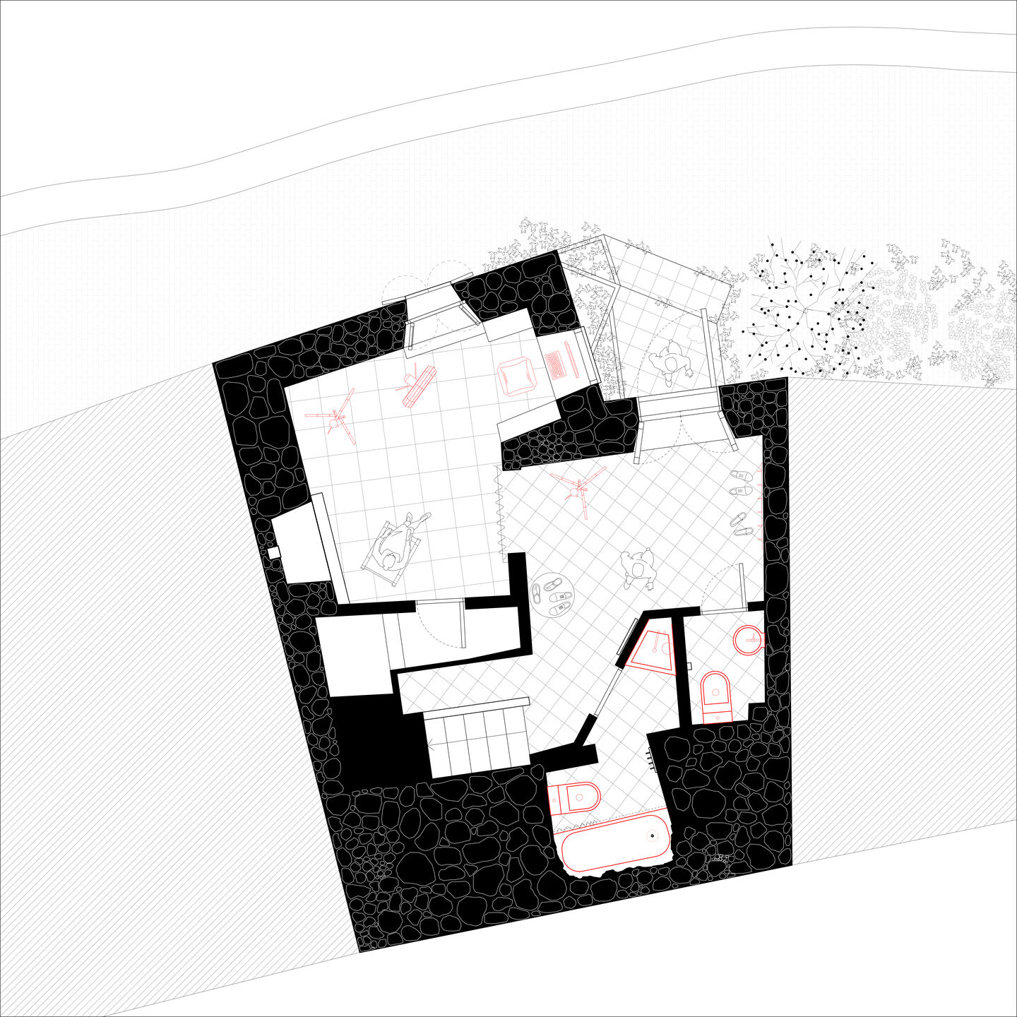 Ground Floor Plan - Renovation